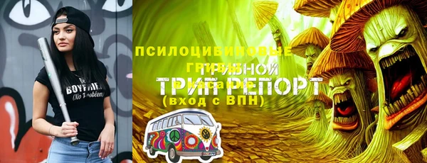 ПСИЛОЦИБИНОВЫЕ ГРИБЫ Аркадак