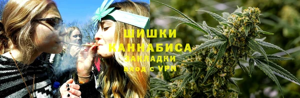 ПСИЛОЦИБИНОВЫЕ ГРИБЫ Аркадак