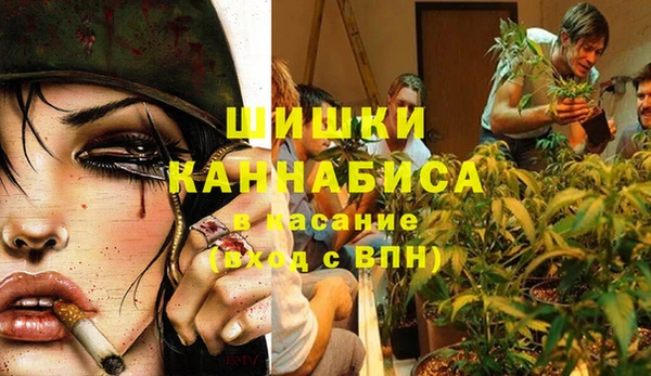 ПСИЛОЦИБИНОВЫЕ ГРИБЫ Аркадак
