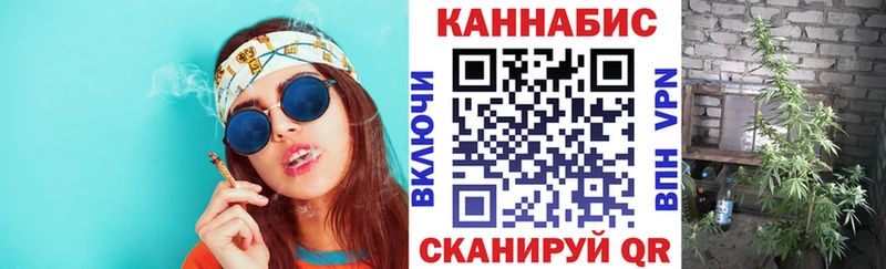 Бошки Шишки ГИДРОПОН Балей